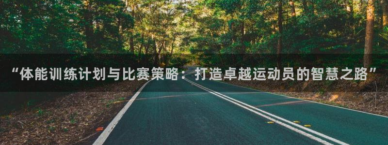 6t体育旧版：“体能训练计划与比赛策略：打造卓越运动员的智慧之路”