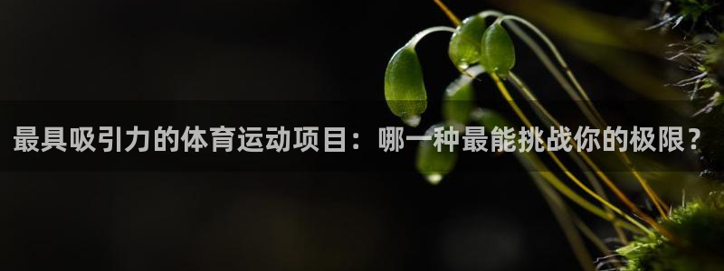 6t体育官网入口：最具吸引力的体育运动项目：哪一种最能挑战你的极限？