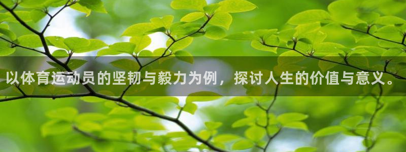 6t体育平台下载：以体育运动员的坚韧与毅力为例，探讨人生的价值与意义。