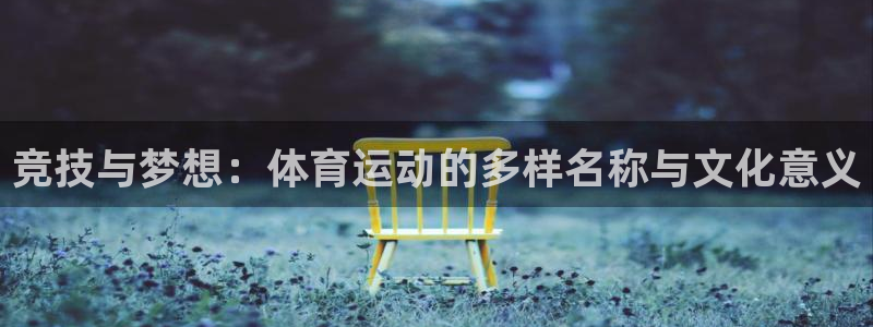 6t体育提款：竞技与梦想：体育运动的多样名称与文化意义
