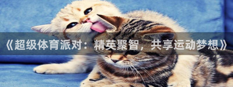 6t体育可靠吗：《超级体育派对：精英聚智，共享运动梦想》
